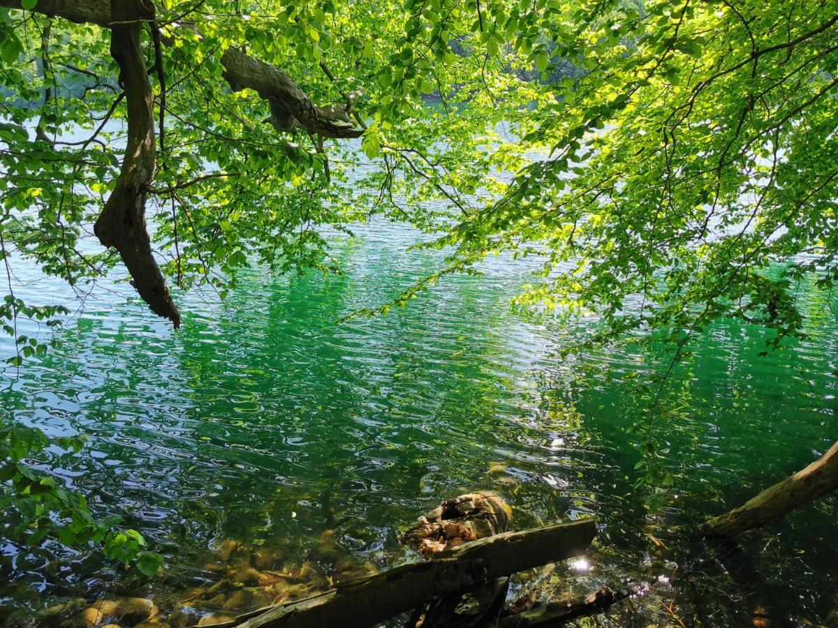 Tweet Tohuus Feldberger Seenlandschaft Exterior foto